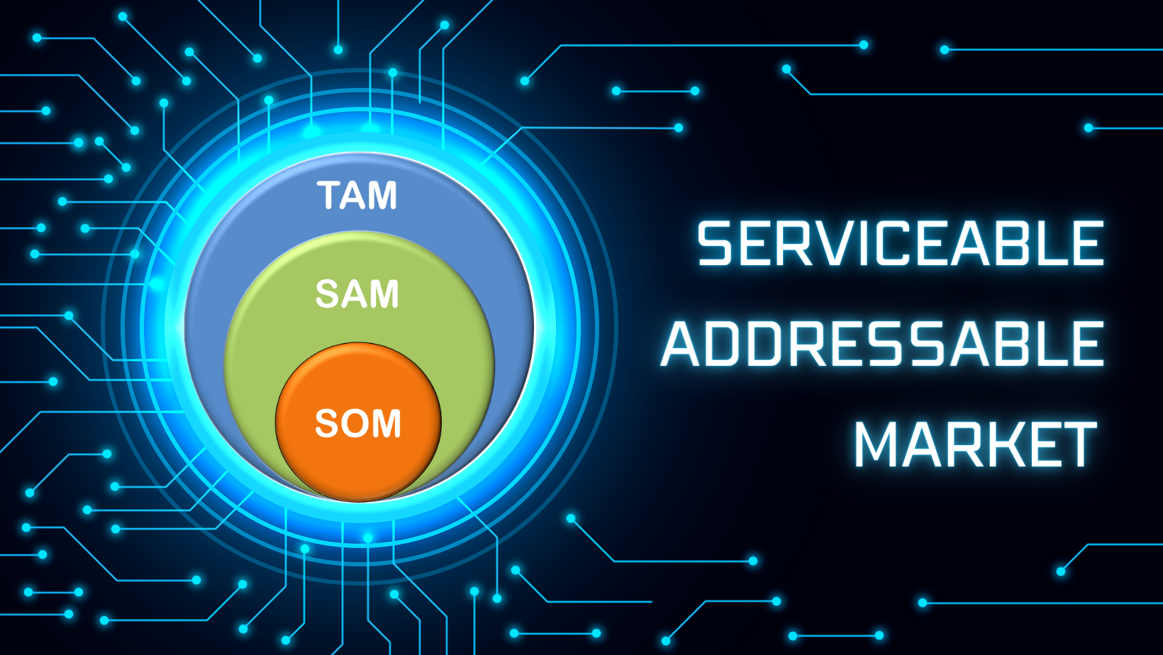 Serviceable Addressable Market